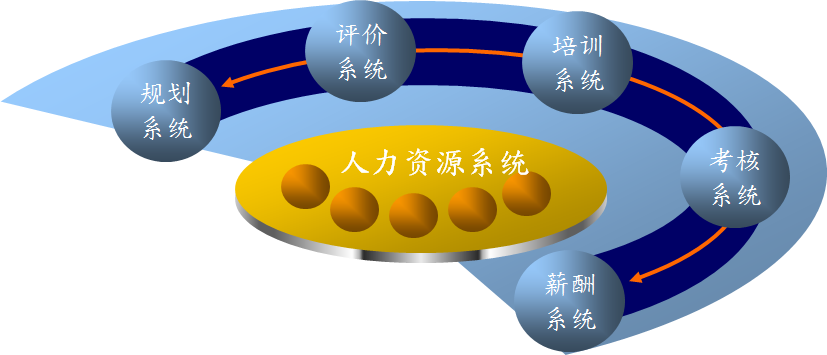 河北晨阳集团人力资源改善项目 河北晨阳集团人力资源改善项目