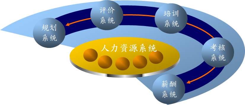 河北晨阳集团人力资源改善项目