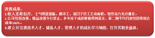 河北晨阳集团人力资源改善项目